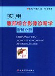 实用腹部综合影像诊断学·肝脏分册 pdf epub mobi 电子书 下载