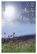 爱在天空另一端 pdf epub mobi 电子书 下载