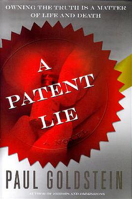 A Patent Lie pdf epub mobi 电子书 下载