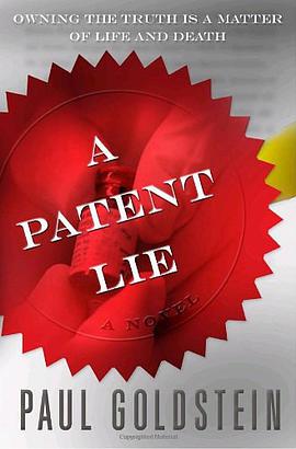 A Patent Lie pdf epub mobi 电子书 下载