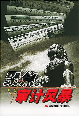 聚焦审计风暴 pdf epub mobi 电子书 下载