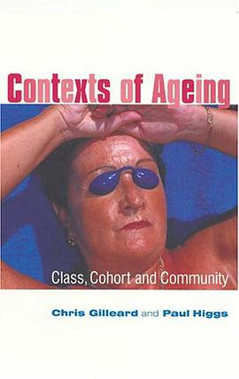 Contexts of Ageing pdf epub mobi 電子書 下載