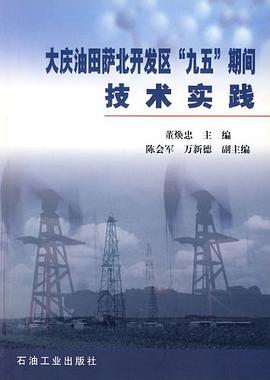 大庆油田萨北开发区“九五”期间技术实践 pdf epub mobi 电子书 下载