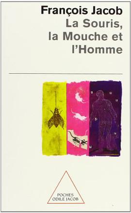 La Souris, LA Mouche ET L'Homme