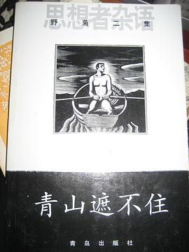青山遮不住 pdf epub mobi 电子书 下载