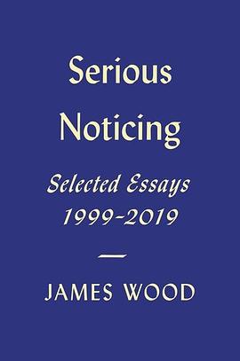 Serious Noticing pdf epub mobi 电子书 下载