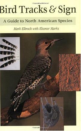 Bird Tracks and Sign pdf epub mobi 电子书 下载