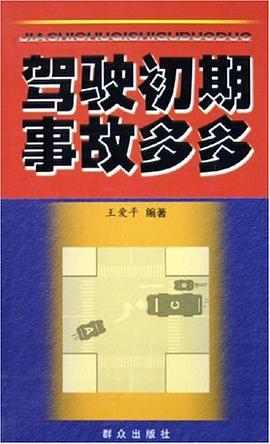 驾驶初期事故多多 pdf epub mobi 电子书 下载