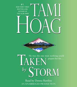 Taken by Storm pdf epub mobi 电子书 下载