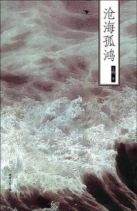 沧海孤鸿 pdf epub mobi 电子书 下载