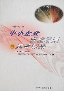中小企业创业发展与风险投资