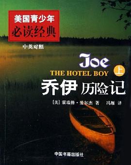 乔伊历险记（上下） pdf epub mobi 电子书 下载
