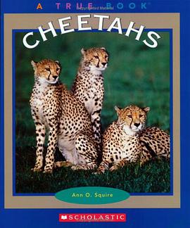 Cheetahs pdf epub mobi 電子書 下載
