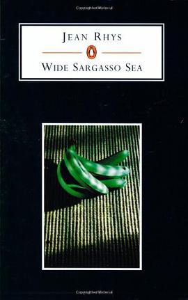 Wide Sargasso Sea pdf epub mobi 电子书 下载