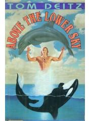 Above the Lower Sky pdf epub mobi 电子书 下载