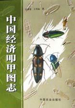 中国经济叩甲图志 pdf epub mobi 电子书 下载