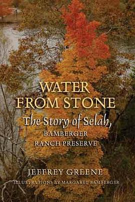 Water from Stone pdf epub mobi 电子书 下载