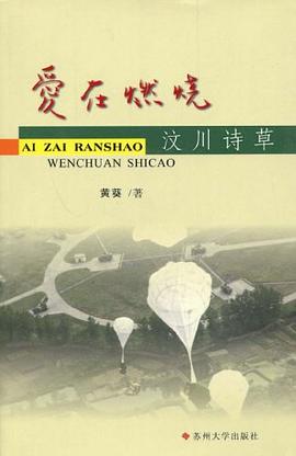 爱在燃烧 pdf epub mobi 电子书 下载
