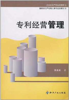 专利经营管理 pdf epub mobi 电子书 下载