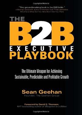 The B2B Executive Playbook pdf epub mobi 电子书 下载