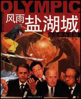 风雨盐湖城 pdf epub mobi 电子书 下载