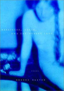 Nakedness, Death, and the Number Zero pdf epub mobi 电子书 下载