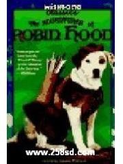Wishbone Classic #06 Adv of Robin Hood pdf epub mobi 电子书 下载