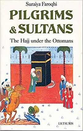 Pilgrims and Sultans pdf epub mobi 电子书 下载