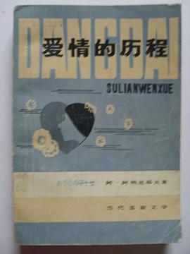 爱情的历程 pdf epub mobi 电子书 下载