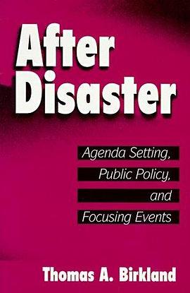 After Disaster pdf epub mobi 电子书 下载