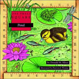 Pond pdf epub mobi 电子书 下载