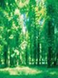 80天攻克雅思核心词汇 pdf epub mobi 电子书 下载
