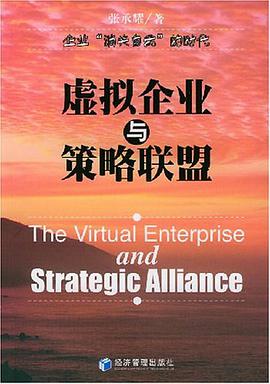 虛擬企業與策略聯盟 pdf epub mobi 電子書 下載