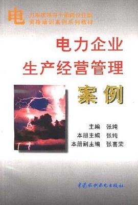 电力企业生产经营管理案例 pdf epub mobi 电子书 下载