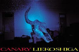 CANARY pdf epub mobi 电子书 下载