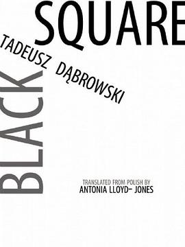 Black Square (New Polish Writing) (Polish Edition) pdf epub mobi 电子书 下载