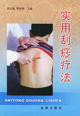 实用刮痧疗法 pdf epub mobi 电子书 下载