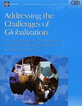Addressing the Challenges of Globalization pdf epub mobi 電子書 下載