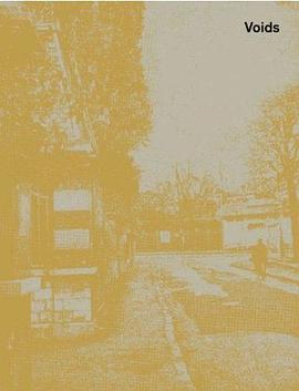 Voids pdf epub mobi 电子书 下载
