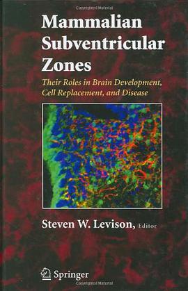 Mammalian Subventricular Zones pdf epub mobi 电子书 下载