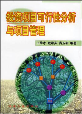 投资项目可行性分析与项目管理 pdf epub mobi 电子书 下载