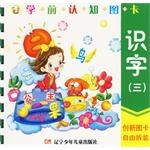 识字 pdf epub mobi 电子书 下载
