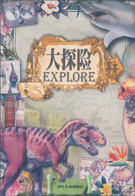 大探险 pdf epub mobi 电子书 下载