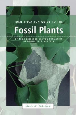 Identification Guide to the Fossil Plants of the Horseshoe Canyon Formation of Drumheller, Alberta pdf epub mobi 電子書 下載