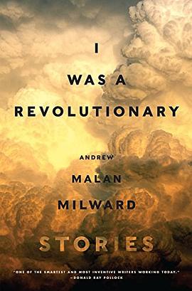 I Was a Revolutionary pdf epub mobi 电子书 下载