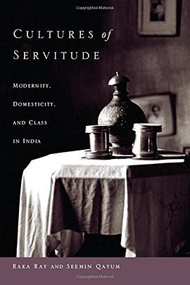 Cultures of Servitude pdf epub mobi 电子书 下载
