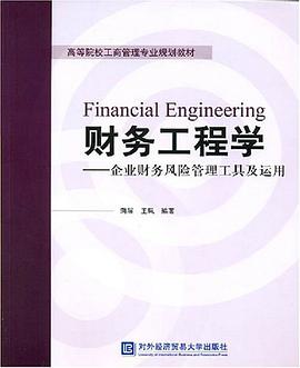 财务工程学 pdf epub mobi 电子书 下载
