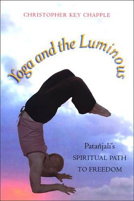 Yoga and the Luminous pdf epub mobi 电子书 下载