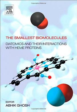 The Smallest Biomolecules pdf epub mobi 电子书 下载