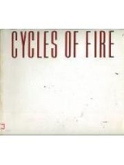 Cycles of Fire: Stars， Galaxies， and the Wonder of Deep Space pdf epub mobi 电子书 下载